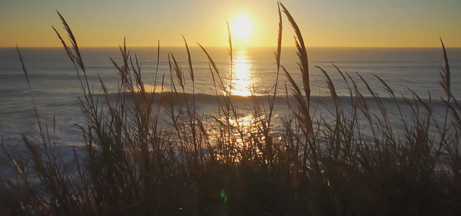 Where We Build - Landfall